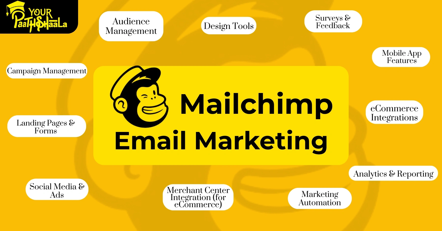 What is Mailchimp? A Complete Beginner’s Guide to the Leading Email Marketing Platform​ - YourPaathshaala, Raipur.